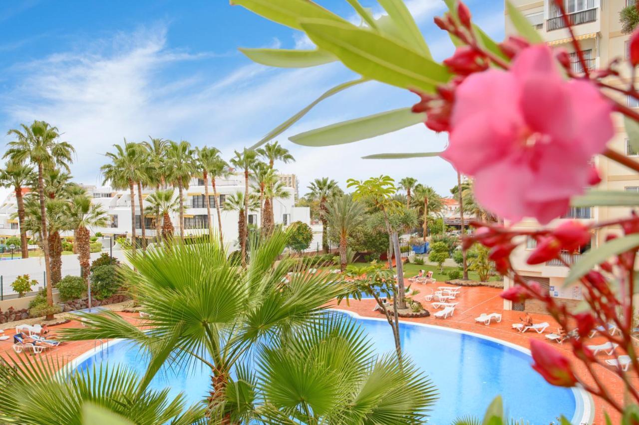 Studio Eldorado In Playa De Las Americas Near The Beach Arona  Exteriér fotografie