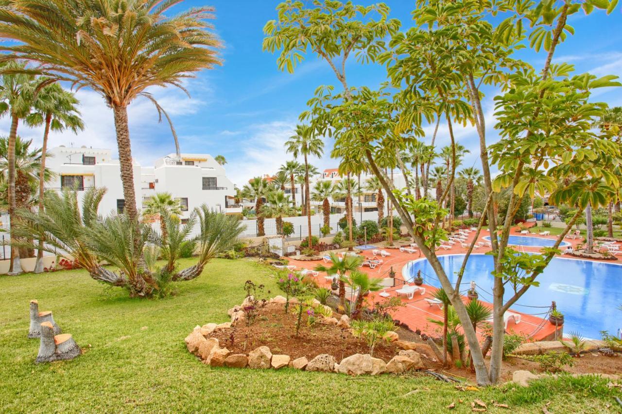 Studio Eldorado In Playa De Las Americas Near The Beach Arona  Exteriér fotografie